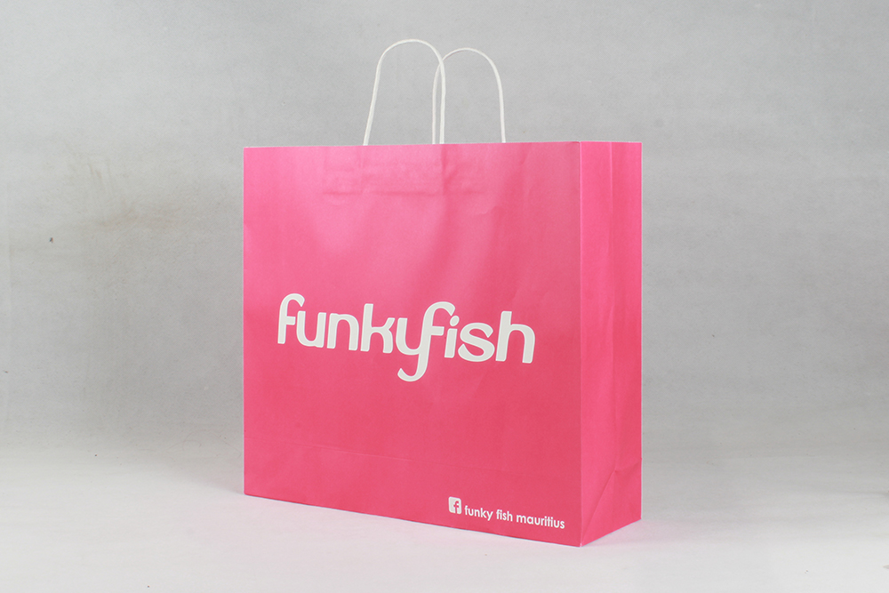 FANRYFISH時尚服裝牛皮紙袋定制 FANRYFISH時尚服裝牛皮紙袋定制