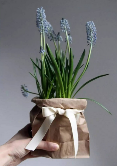 情人節(jié)鮮花市場(chǎng)大賣 高規(guī)格包裝取代傳統(tǒng)包裝 情人節(jié)鮮花市場(chǎng)大賣 高規(guī)格包裝取代傳統(tǒng)包裝