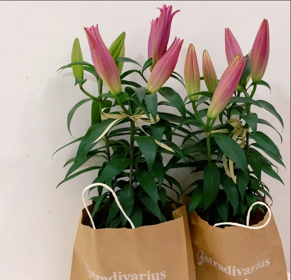 聽說這個七夕,鮮花和牛皮紙袋更配哦! 聽說這個七夕,鮮花和牛皮紙袋更配哦!